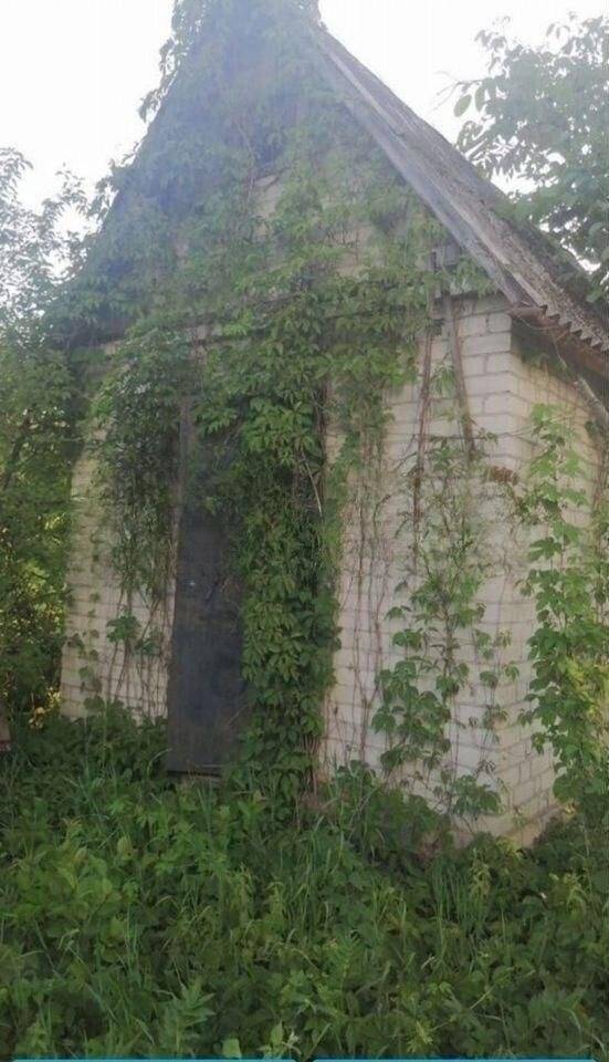 1000052439