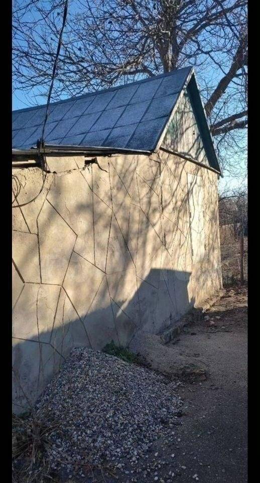 1000053695