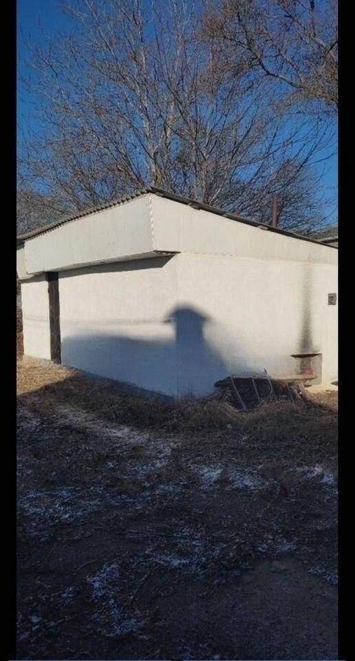 1000053689