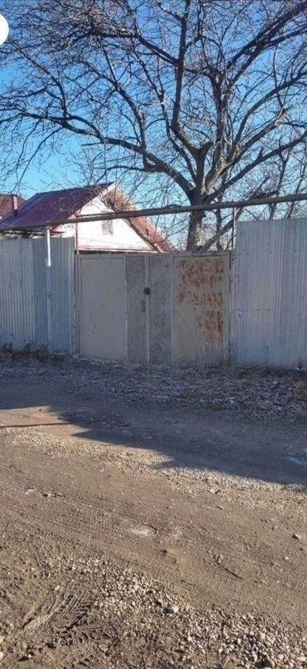 1000053696