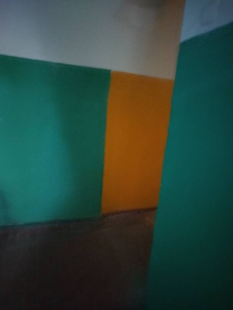 1000031786
